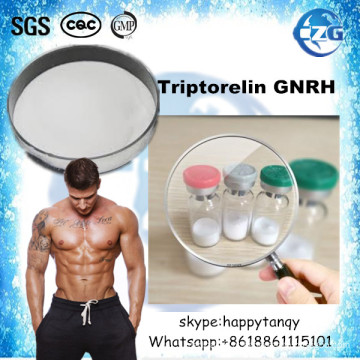 Triptorelin Gnrh do pó dos Peptides da hormona para o halterofilismo